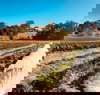 Synchronicity Farm - Sydney Tourism