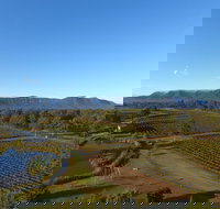 Mistletoe Winery - Sydney Tourism