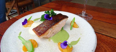 To The Woods - Sydney Tourism 0