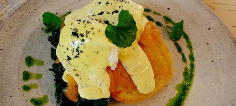 To The Woods - Sydney Tourism 2