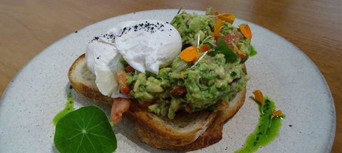 To The Woods - Sydney Tourism 3