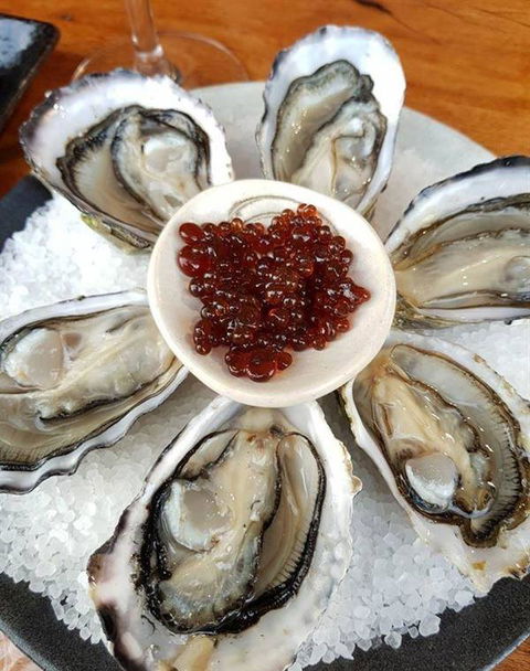 To The Woods - Sydney Tourism 7