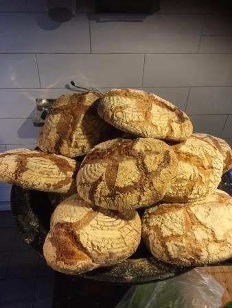 Lady Of Ro - Sydney Tourism 0