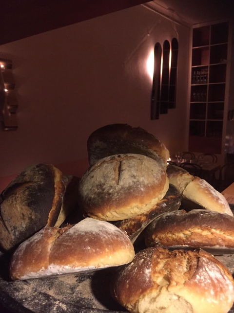 Lady Of Ro - Sydney Tourism 10