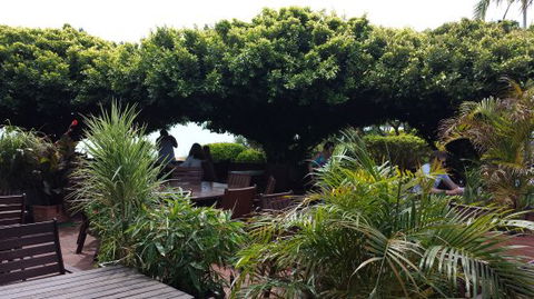 Wharf Restaurant - Sydney Tourism 0