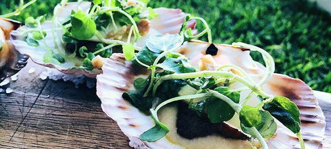 Boardwalk Bistro On Hastings - Sydney Tourism 1