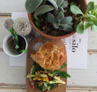 Cafe Silo - Sydney Tourism