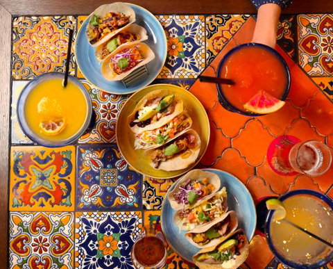 EL Camino Cantina - Sydney Tourism 0