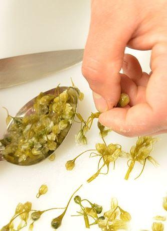 Wild Harvest Restaurant King Island - Sydney Tourism 1