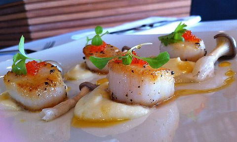 Tea Gardens Boatshed - Sydney Tourism 2