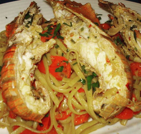 Fortify - Sydney Tourism 7