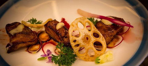 Modu - Sydney Tourism 0