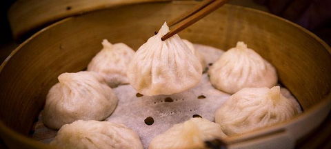 Modu - Sydney Tourism 1