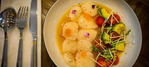 Modu - Sydney Tourism 3