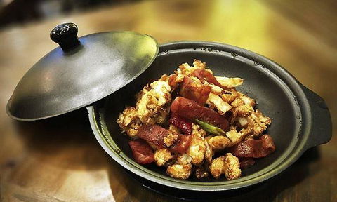 Modu - Sydney Tourism 5