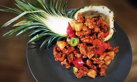 Modu - Sydney Tourism 6