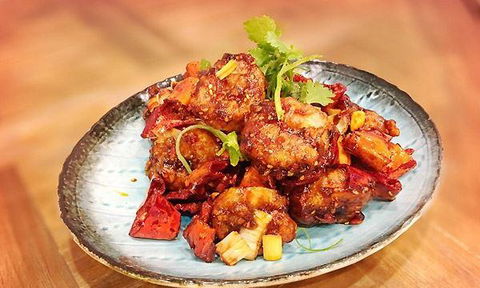 Modu - Sydney Tourism 7