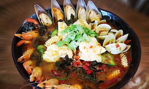 Modu - Sydney Tourism 8