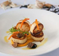 Stay Grounded - Sydney Tourism