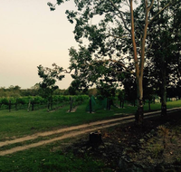 Brierley Wines - Sydney Tourism