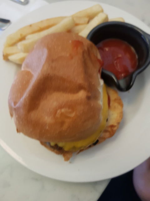 Driftaways & Yorkeys Knob Boating Club - Sydney Tourism 3