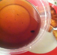 Labrador Chinese Restaurant - Sydney Tourism