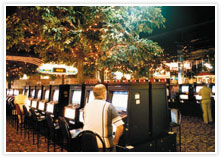 Mount Isa Irish Club - Sydney Tourism 3