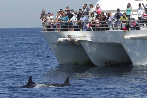 Moonshadow–TQC Cruises - Sydney Tourism 0