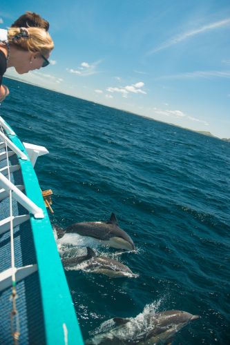 Moonshadow–TQC Cruises - Sydney Tourism 3