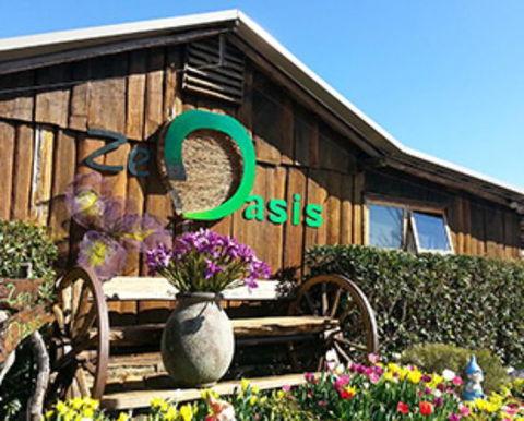 Zen Oasis Vegetarian Restaurant - Sydney Tourism 0