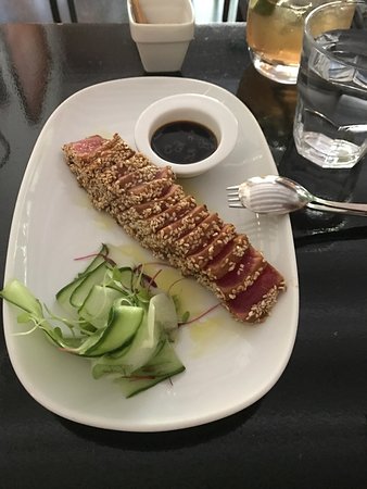 Rose Park SA Sydney Tourism