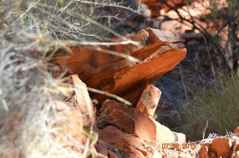 Under A Desert Moon - Sydney Tourism 0
