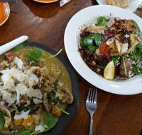 Fish Frenzy - Sydney Tourism