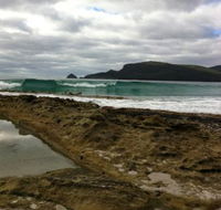 Bruny Island Berry Farm - Sydney Tourism