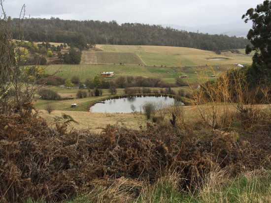 Glaziers Bay TAS Sydney Tourism