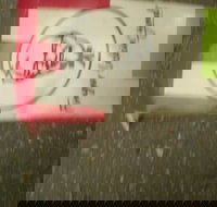 Kfc - Sydney Tourism