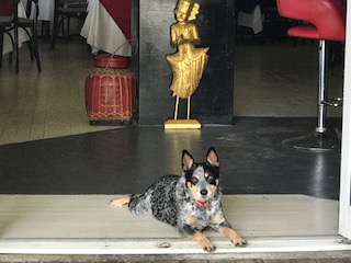 Gatakers Landing Restaurant - Sydney Tourism 4