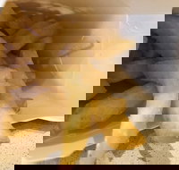 Red Rooster Rivervale - Sydney Tourism