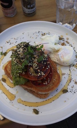 Surfing Lizard Cafe - Sydney Tourism 0