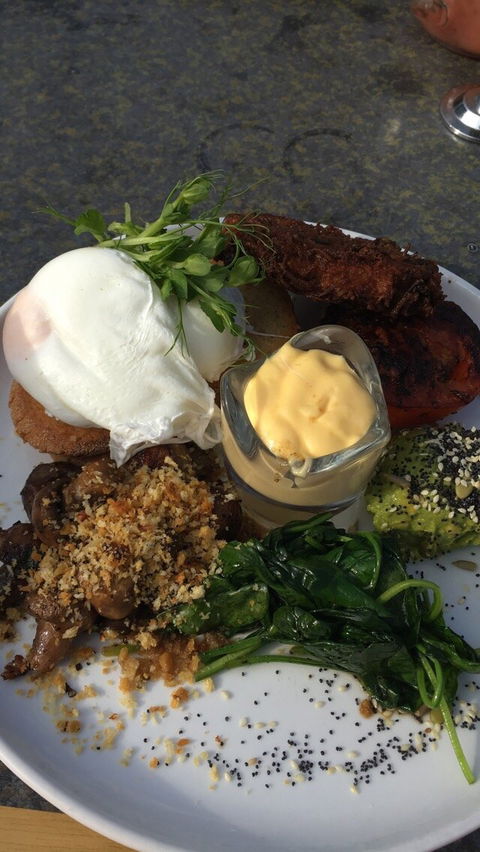 Surfing Lizard Cafe - Sydney Tourism 4