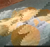 The Taj Restaurant - Sydney Tourism