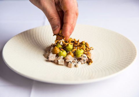 Botanic Gardens Restaurant - Sydney Tourism 0