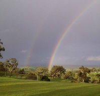 Tenafeate Creek Winery - Sydney Tourism