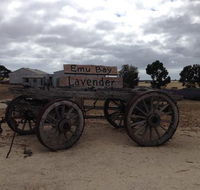 Emu Bay Lavender - Sydney Tourism