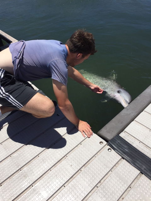 Whyalla Foreshore - Sydney Tourism 2