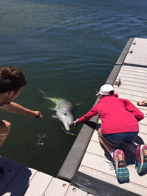 Whyalla Foreshore - Sydney Tourism 3