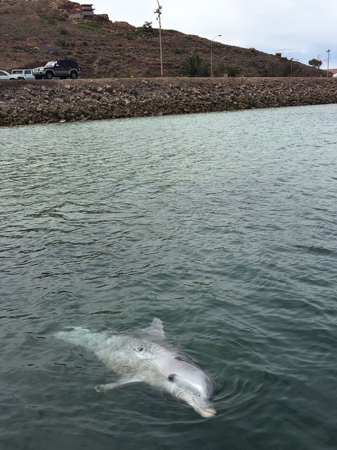 Whyalla Foreshore - Sydney Tourism 5