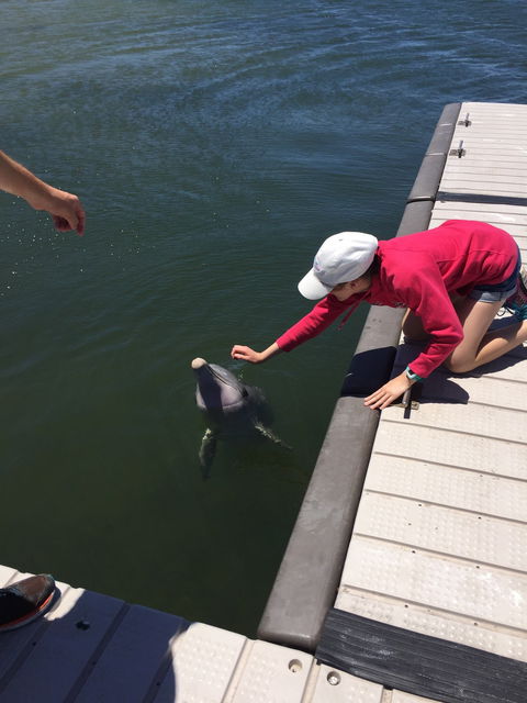 Whyalla Foreshore - Sydney Tourism 8