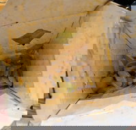 Wok in A Box - Sydney Tourism