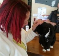 Stone Bridge Wines - Sydney Tourism